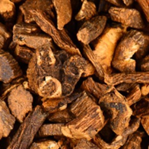 产地批发 蒲公英根茶 自然晾晒 蒲公英根 婆婆丁根茶瓶装蒲公英茶图3