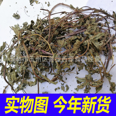 广西凉粉草 中药材仙人草烧仙草仙草干原料黑凉粉 神仙草仙人冻