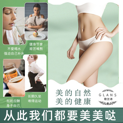 冬瓜玫瑰荷叶茶养颜花果茶袋装小包定制oem代加工