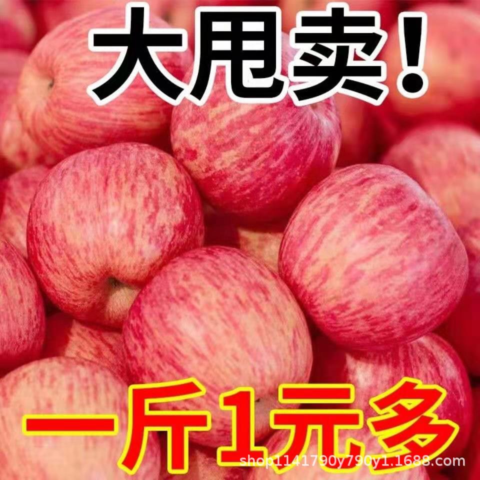 山西红富士苹果3斤5斤装一件代发批发非阿克苏苹果新鲜苹果脆甜图2