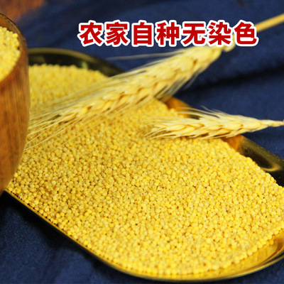 沁谷春 米脂黄小米真空一斤装农家自产小米沁州黄小米宝宝月子米