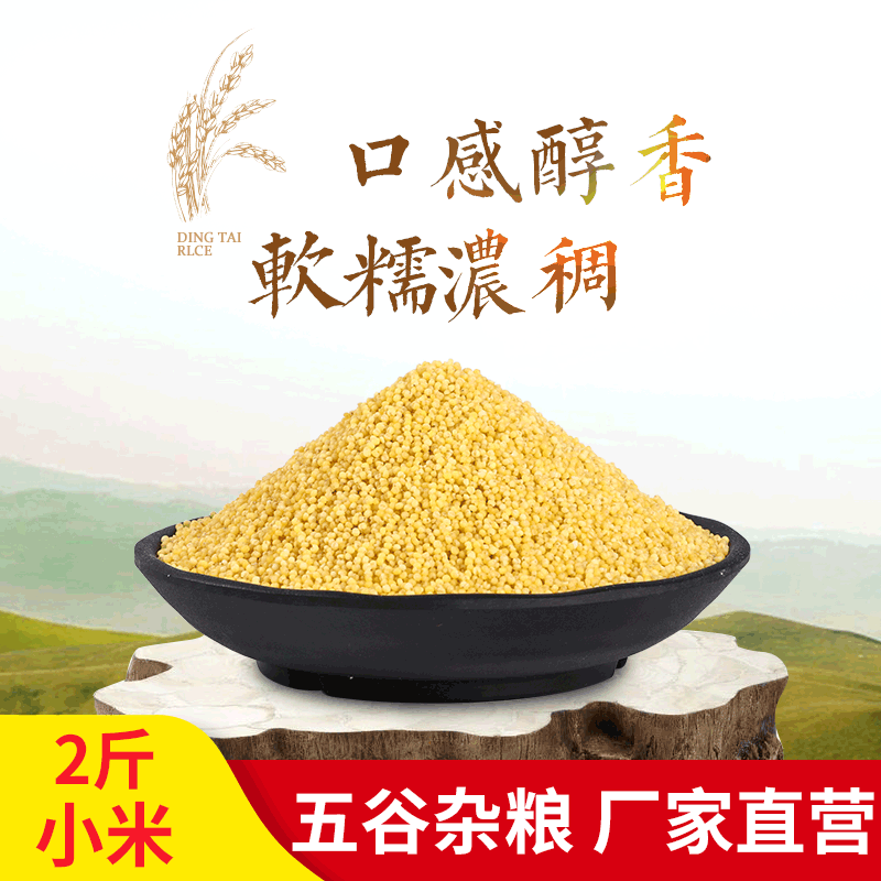 山西黄小米500g/袋 农家自产小黄米五谷杂粮小米厂家供应批发