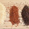 厂家批发三色藜麦 大颗粒白红黑藜麦米营养黎麦 五谷杂粮代餐谷物
