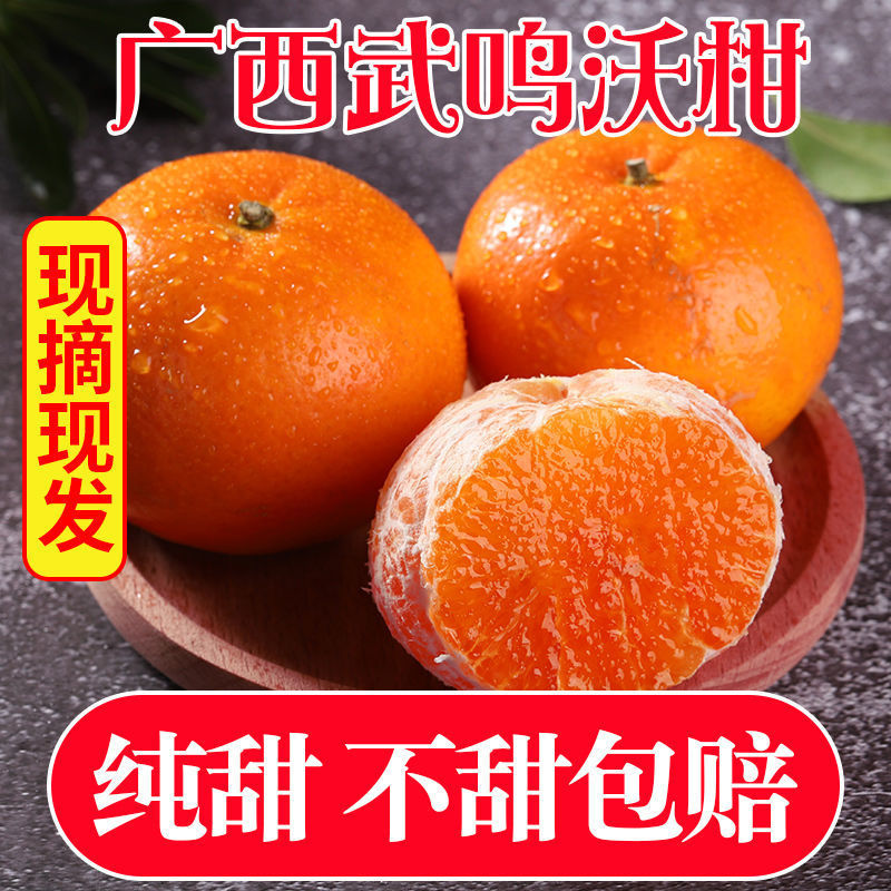 广西武鸣沃柑橘子新鲜甜水果新鲜应季水果非皇帝柑桔子批发整箱图3