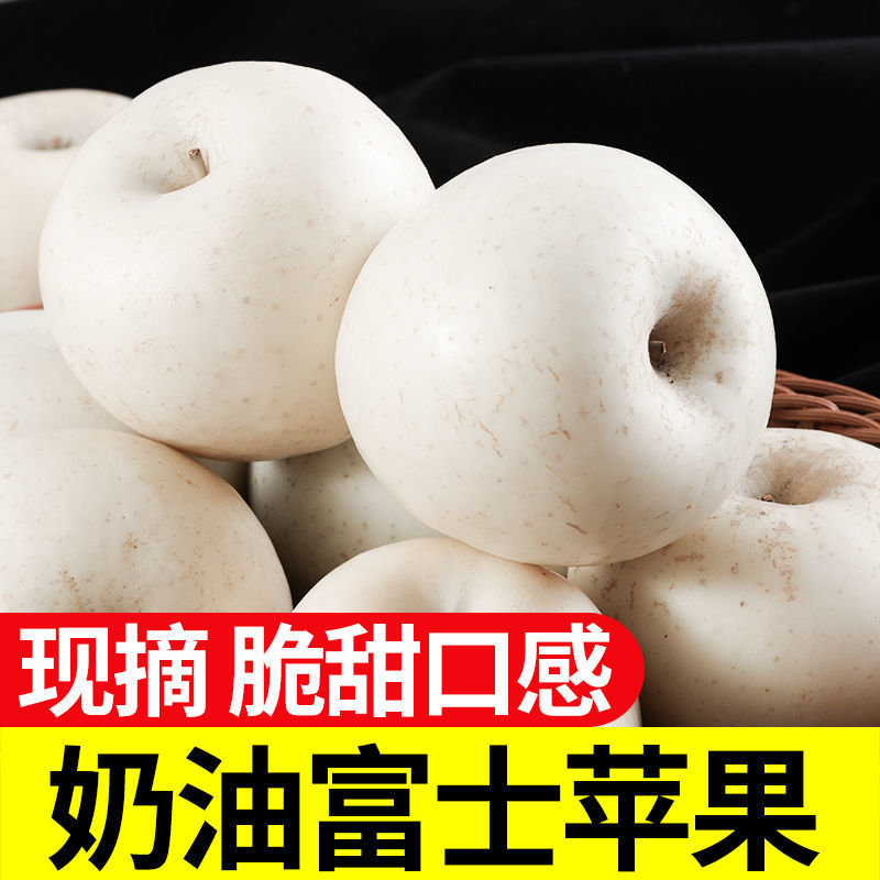 烟台新鲜奶油苹果牛奶脆甜富士苹果现摘现发当季新鲜白苹果奶油果图3
