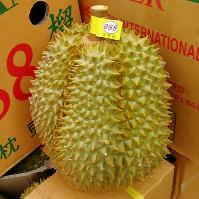 泰国金枕头榴莲新鲜甲仑榴莲新鲜进口水果批发金枕榴莲非猫山王图3