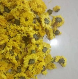250克 菊花天然无杂质 Yellow Baked Chrysanthemum