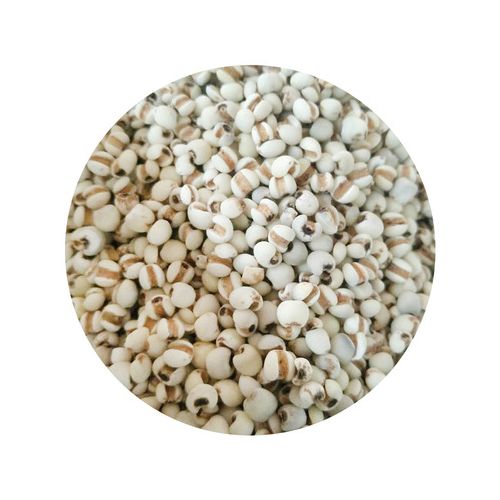 现货供应小薏仁米 五谷杂粮薏仁米批 现磨豆浆磨粉薏米