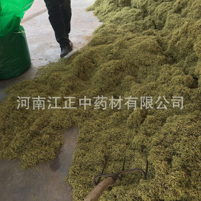 基地直销金银花 批发河南开封散装金银花茶 杂质少花草茶