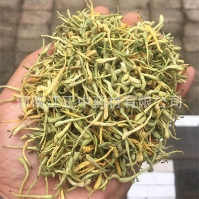 河南金银花 基地批发金银花价格 散装金银花