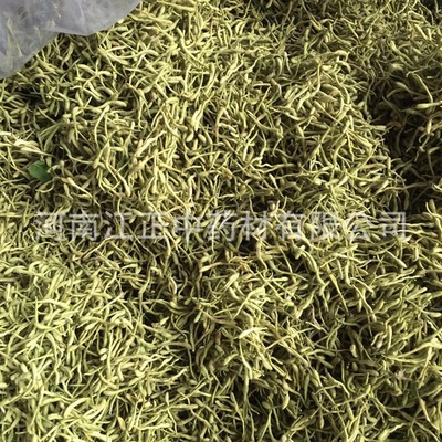 河南封丘金银花茶 花草茶 金银花 散装批发