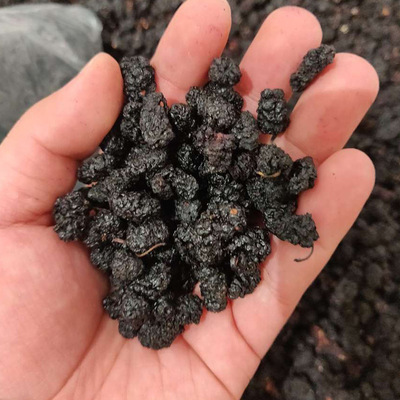 一首货源桑葚干黑桑葚黑桑椹干免洗无沙果干泡水即食非新图2