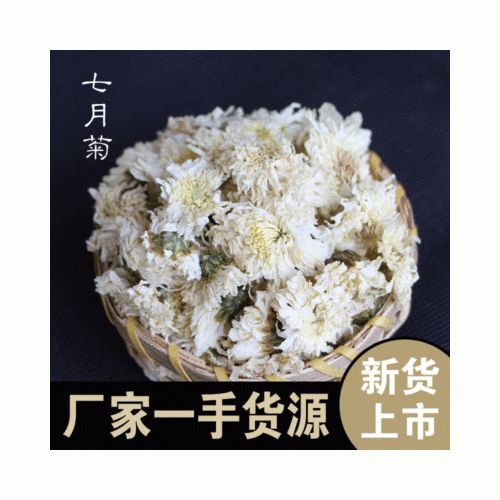 厂家大货批发贡菊茶叶安徽七月菊白菊花代用花草茶散货原料