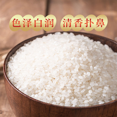 【巴爱】粳米江苏大米5kg 珍珠大米10斤晨希米业厂家直销一件代发图2