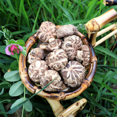 襄宜志远香菇干货小花菇剪脚蘑菇肉厚金钱菇食用菌珍珠菇批发