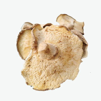 襄宜志远大片香菇干货冬菇干香菇剪脚菌子特产蘑菇食用菌批发图3