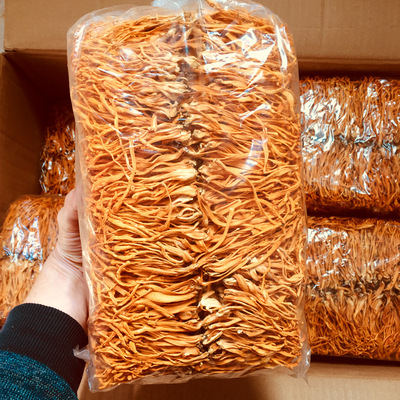 金虫草 虫草花批发袋装 北虫草 蛹虫草 干货产地直销1000g图3