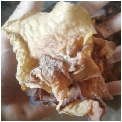 沙耳餐饮食用农产品沙耳干货食用菌供应 健康营养易泡发干沙耳图3