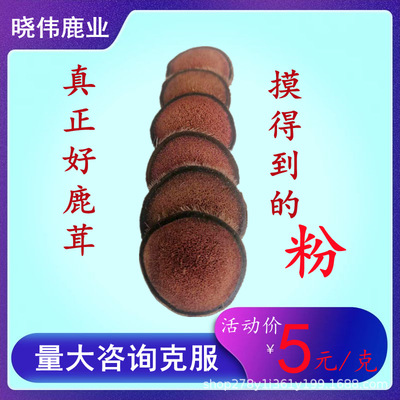 鹿茸红粉片梅花鹿茸切片吉林长春鹿场批发图2