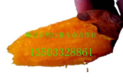 现货批发新鲜烟薯25 沙地密薯 香甜软糯烤红薯 地瓜红薯烟薯厂家图3