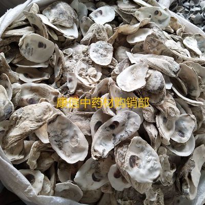 中药材批发1000克 牡蛎 牡蛎壳 生牡蛎 生牡蛎壳