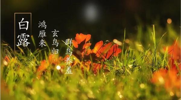 今日白露！最容易生病的时候到了！三冻三不冻了解下~