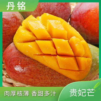 贵妃芒薄核红金龙广西特产新鲜水果当季大芒果整箱5斤9斤一件代发