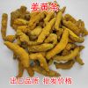 姜黄条 咖喱粉原料黄姜个中餐调味着色烘焙辅料香料工厂直供 姜黄 一件代发
