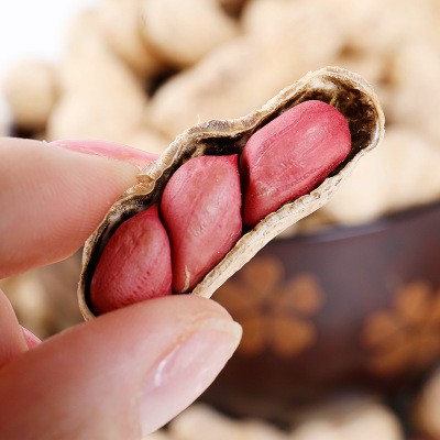 供应带壳水果生花生手选货口感细腻味甜量大从优