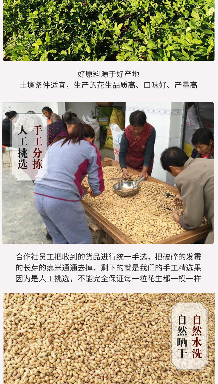 1-大粒黑详情_03