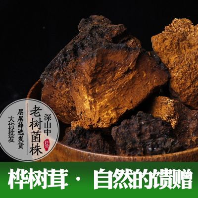 东北桦树茸产地批发500g特产长白山大个白桦茸桦褐孔