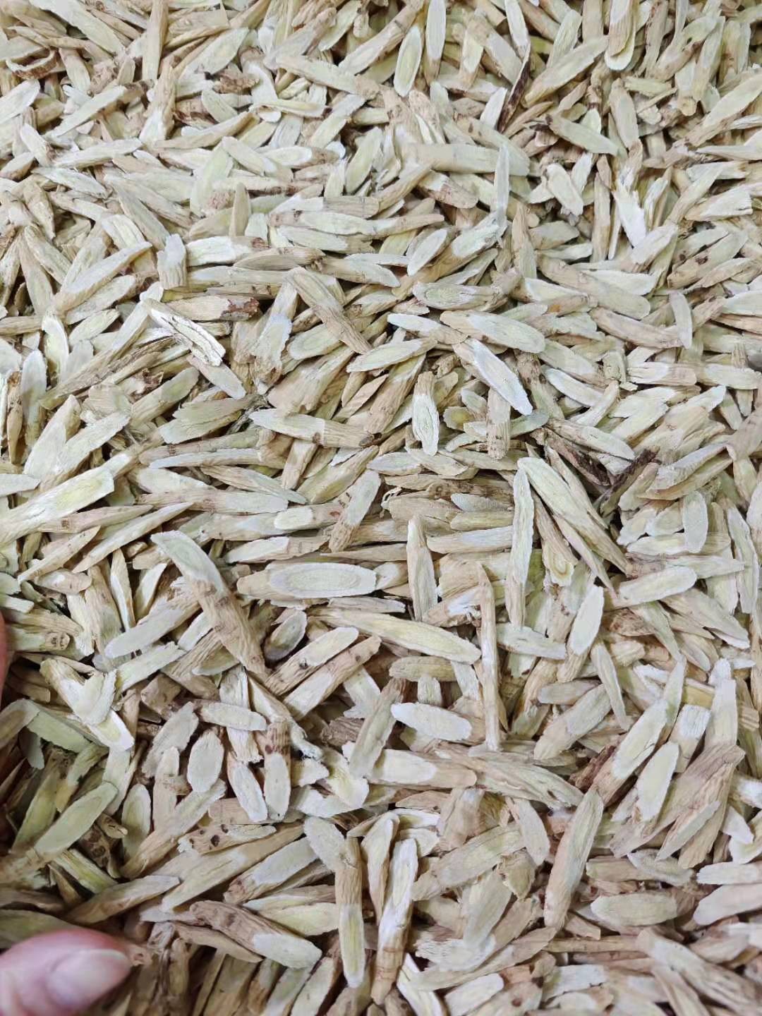 甘肃岷县黄芪片北芪片条指甲片柳叶片规格齐全大货散装批发图3