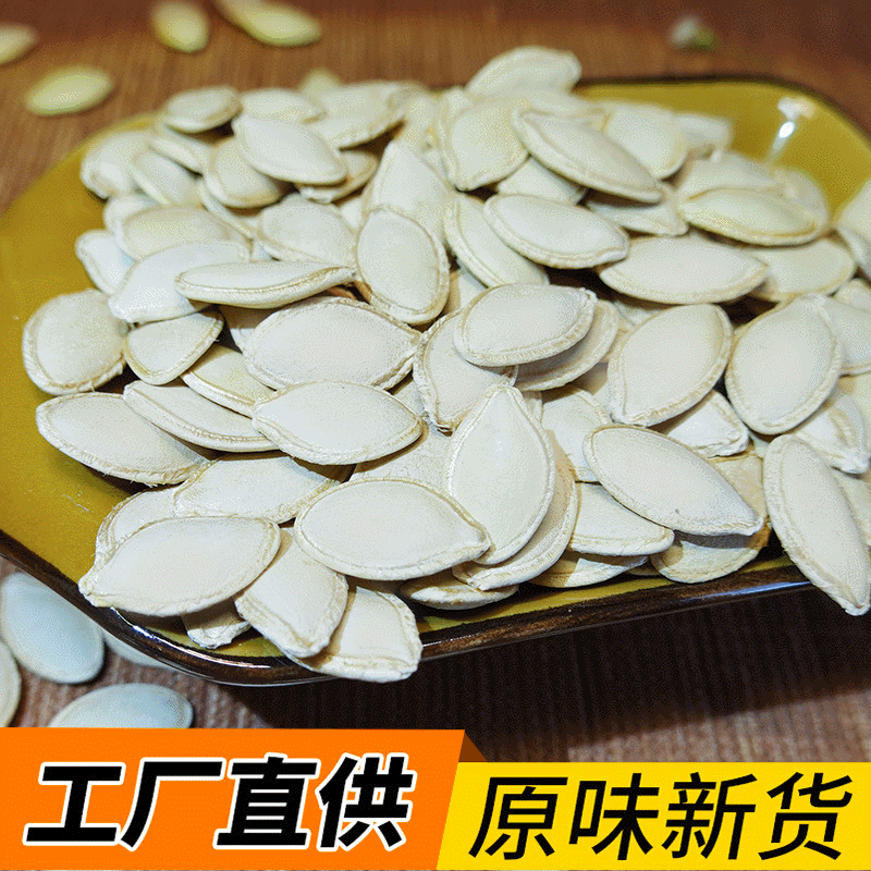内蒙古生南瓜子大片 厂家批发带壳光板葫芦籽 南瓜籽炒货原料图3
