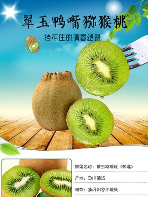 蒲江翠玉猕猴桃新鲜水果清香绿心鸭嘴奇异果现货批发图4