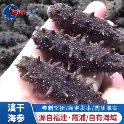 巨奥霞浦纯淡干海参深海海参干货500g海鲜干货佛跳墙酒店代发批发