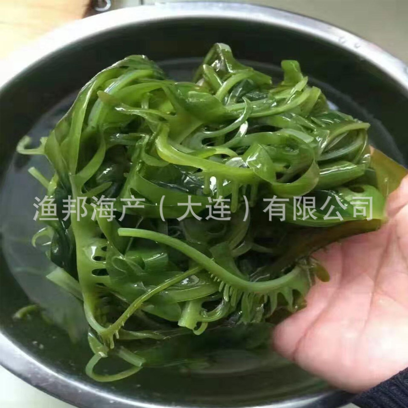 渔邦海产 海带苗 睫毛菜眉芽菜10kg/件 凉拌菜 商用家用食材批发图4