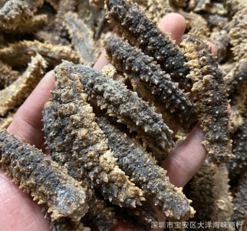 印尼刺王参 刺王参 黑刺参 黄金刺参 深海海参淡干货大量批发图2
