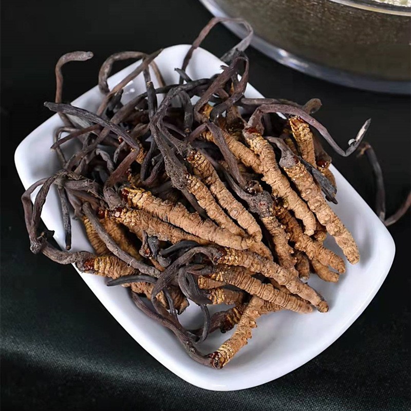 爆款批发西藏那曲冬虫夏草足干金黄浓香小虫草100条装约送人自用图2