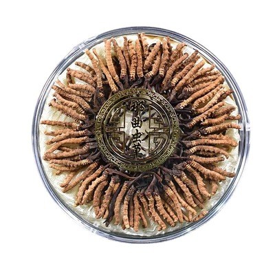 爆款批发西藏那曲冬虫夏草足干金黄浓香小虫草100条装约送人自用图5