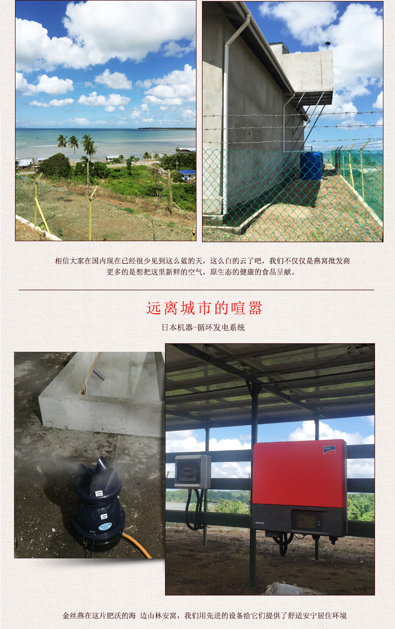 燕条阿里_02.jpg