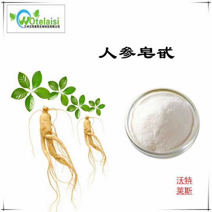 人参皂甙  人参多肽 人参提取物图1