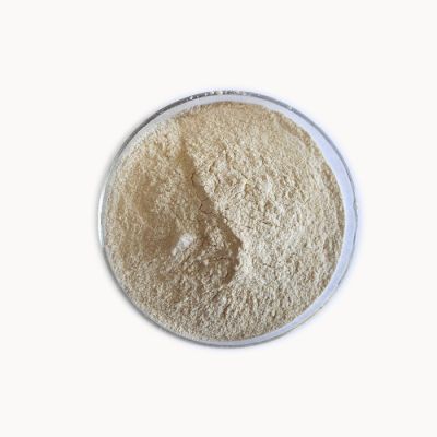 人参提取物药食同源人参粉昂煦生产供应人参皂苷SC认证工厂 人参皂甙