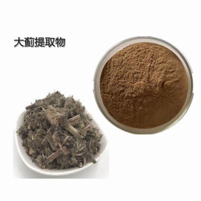 斯诺特 人参叶提取物人参茎叶皂甙10%-80%  资质齐全