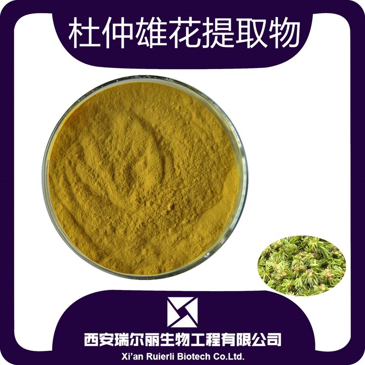 人参皂甙20% 人参茎皂甙 人参浓缩粉 人参提取物资质齐全  源头厂家包邮  西安瑞尔丽生物工程图1