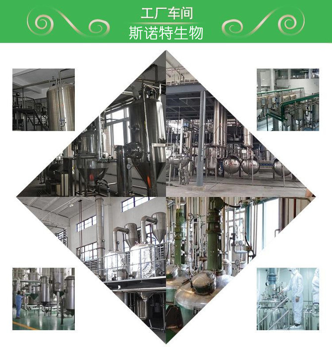 人参果提取物 鲜果浓缩汁粉 喷雾干燥工艺 斯诺特生物图1