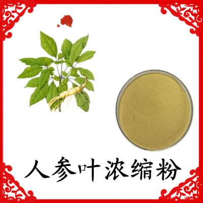 人参叶提取物 六盘韵 水溶 可定制 植提厂家