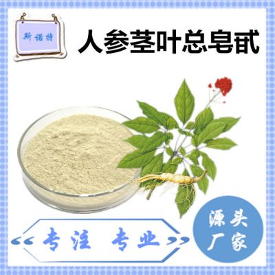 斯诺特 人参茎叶总皂甙 厂家供应 包邮 人参茎叶提取物