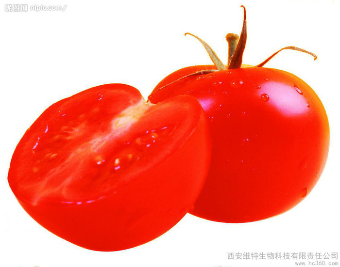 供应维特生物番茄红素