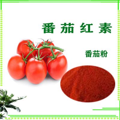 番茄提取物  番茄红素10%  水溶性番茄粉