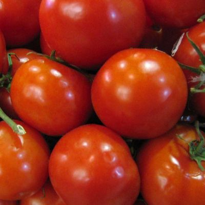 食品级 **番茄提取物 西红柿  番茄红素 粉末 10%